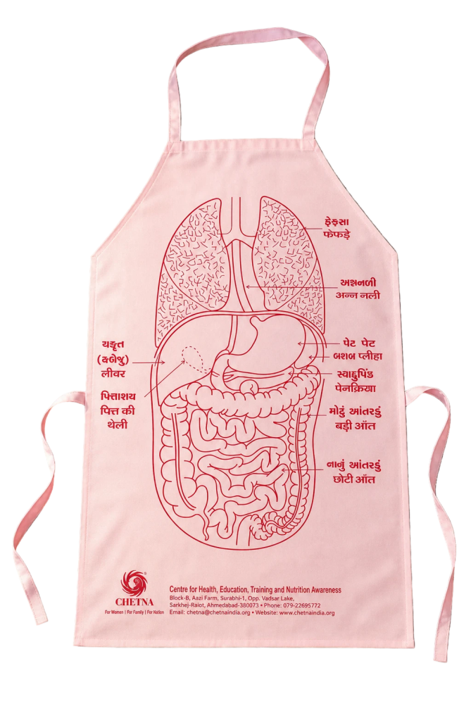 Digestive system Apron Digestive system Apron